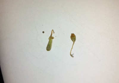 20130404_211337.jpg