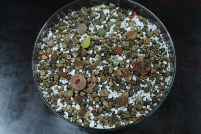 Glas6.JPG