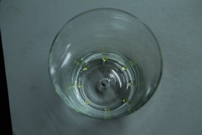 Glas1.JPG