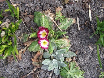 April2013 011.JPG