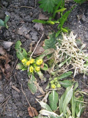 April2013 012.JPG