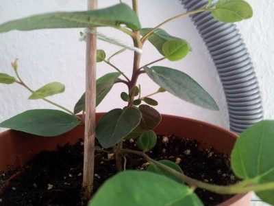 20130406_141328.jpg