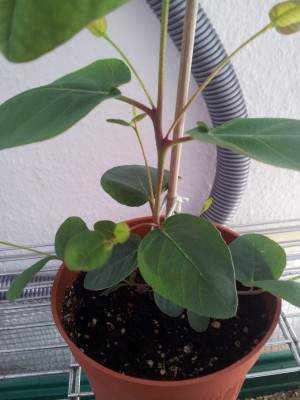 20130406_141456.jpg