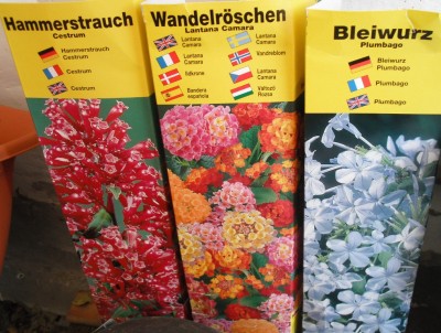 neue für den Garten 07.04.13.jpg