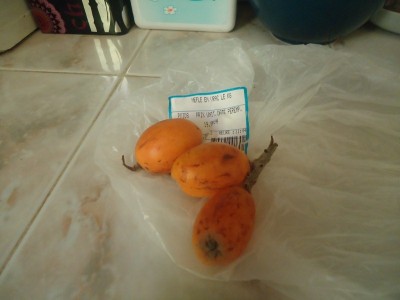 DSC05044 (800x600).jpg