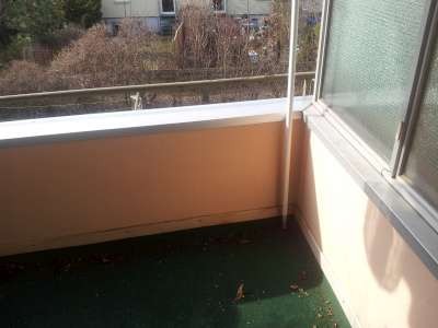 20130408_100340-400.jpg