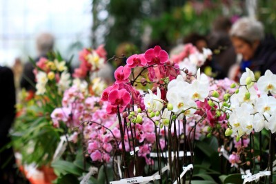 _MG_9199.JPG
