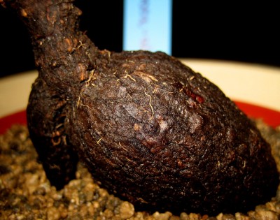 sukkis-006.jpg