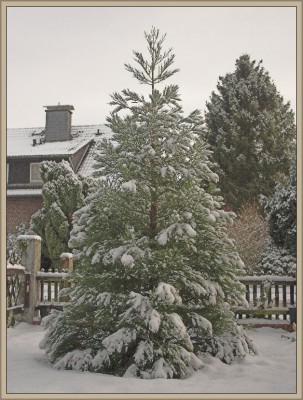 BM Nr.1  am 13.12.2012.jpg