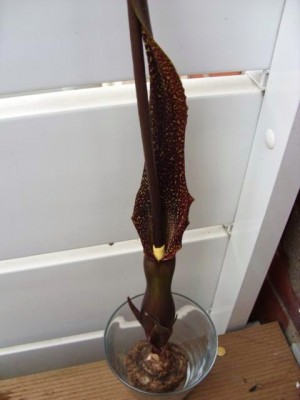 Photo12.jpg