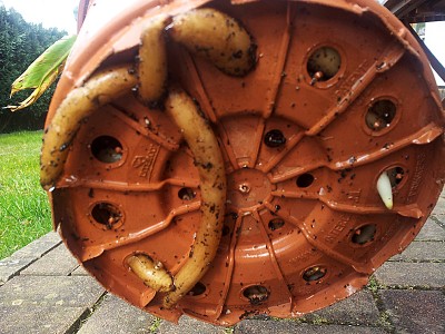 20130411_161254.jpg