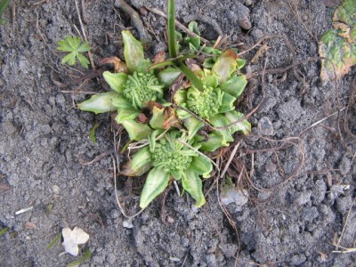 März 2012 02 001.JPG