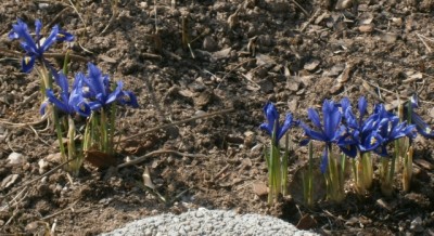 P3280096 (2) (640x348).jpg