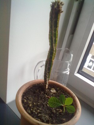 10042013447.jpg