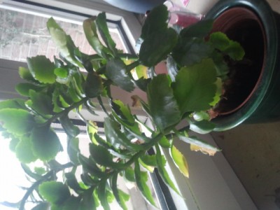 2013-04-13 09.07.51.jpg
