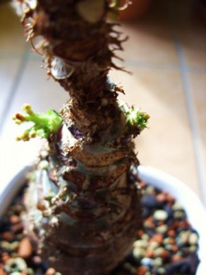 Photo4.jpg