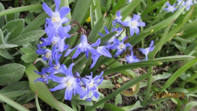 Boga-April 2013 003.jpg