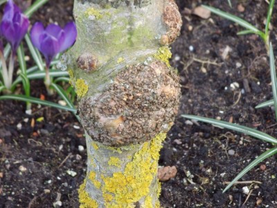 Meine Bilder 1642a.jpg