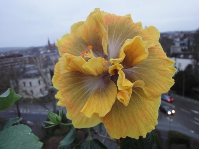 DSC05236 Time for Magic.jpg