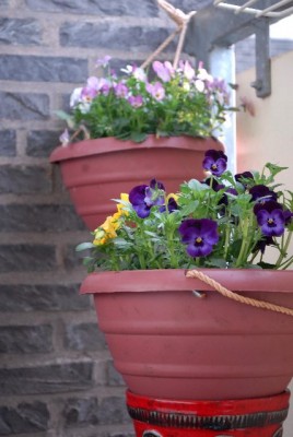 Balkon2013 015yy.jpg