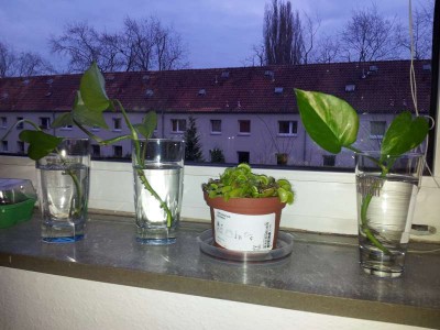 20130416_200439-800.jpg