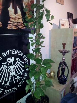 20130416_192149-800.jpg
