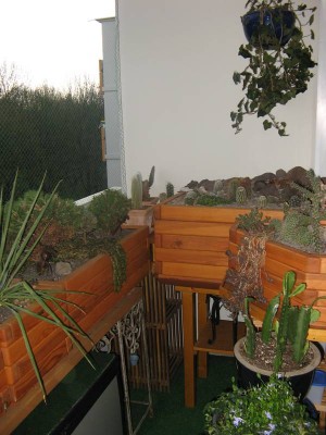 Balkon 04-2013_5.JPG