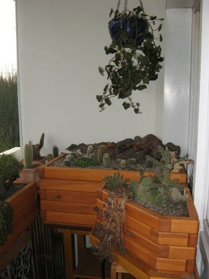 Balkon 04-2013_4.JPG