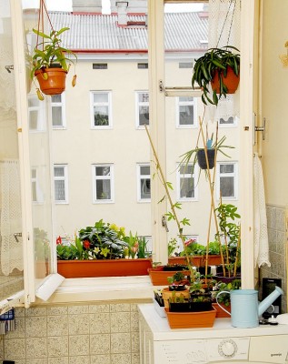 dsc_9749_Kueche.jpg