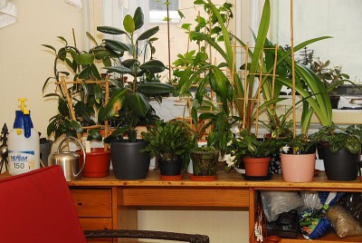 dsc_9753_Schlafzimmer.jpg