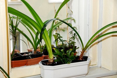 dsc_9754_Schlafzimmer.jpg