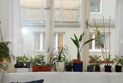 dsc_9755_Wohnzimmer.jpg