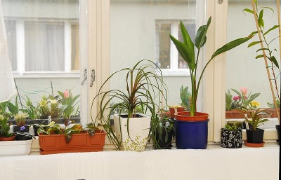 dsc_9757_Wohnzimmer.jpg