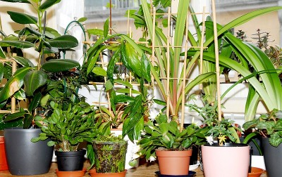 dsc_9760_Schlafzimmer.jpg