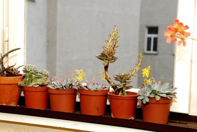 dsc_9762_Stiegenhaus.jpg