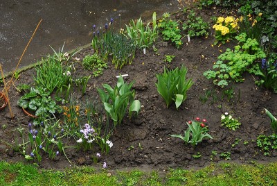dsc_9769_Beet.jpg