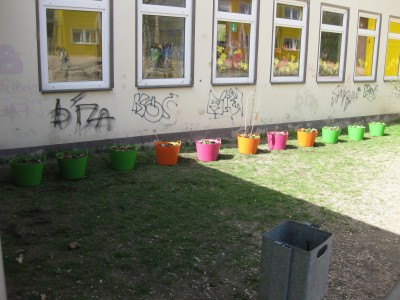 IMG_5934.jpg