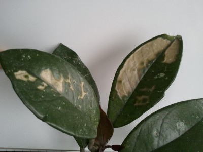 2013-04-19 17.48.18.jpg