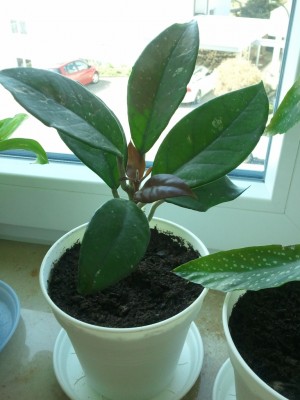 2013-04-18 11.04.04.jpg