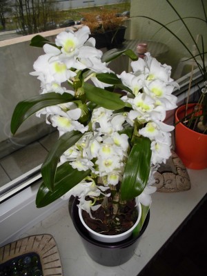 Img5944.jpg