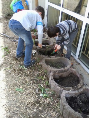 Foto-0008.jpg