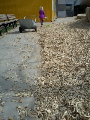 Foto-0009.jpg