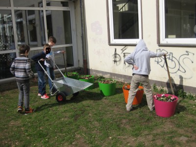 IMG_5942.jpg