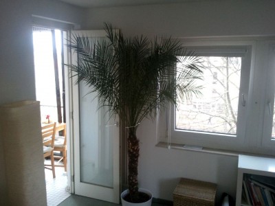 2013-04-22 17.11.34.jpg
