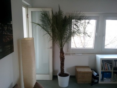 2013-04-22 17.11.21.jpg