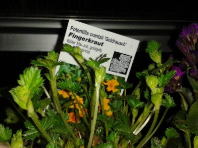 2013-04-22 20.25.59.jpg