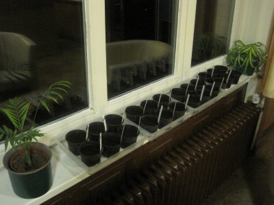 22.04.2013.jpg