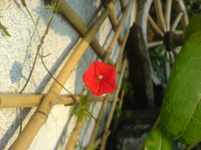 DSC01371.JPG