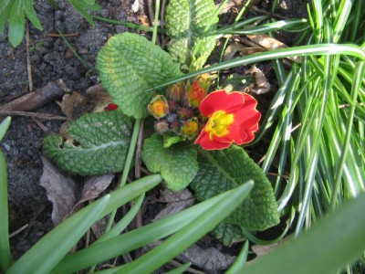 April 2013 04 022.JPG