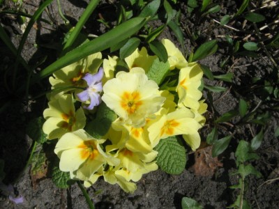 April 2013 04 029.JPG